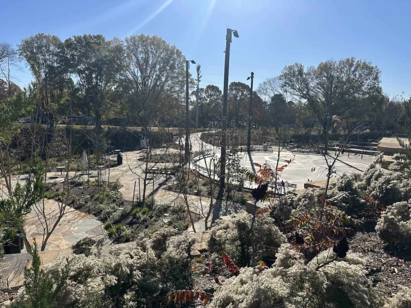 Dix Park Square Dance Night
