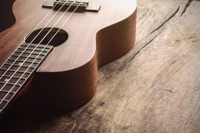 Free Ukulele Lessons for Adults at Five Points Center